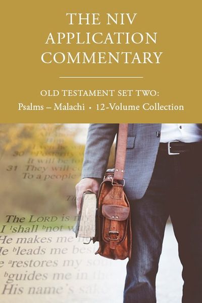 The NIV Application Commentary, Old Testament Set Two