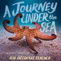 a-journey-under-the-sea