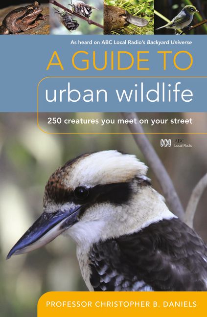 A Guide to Urban Wildlife: 250 Creatures You Meet on Your Street