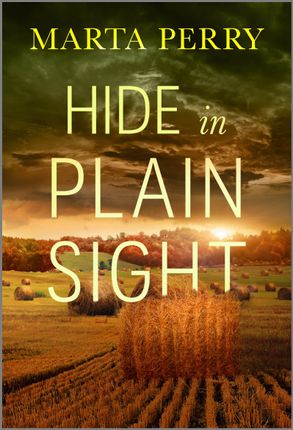 Hide In Plain Sight