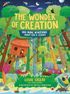 The Wonder Of Creation