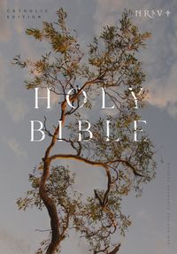 nrsv-catholic-edition-bible-eucalyptus-hardcover-global-cover-series