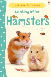 looking-after-hamsters