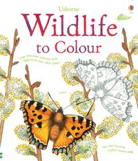 wildlife-to-colour