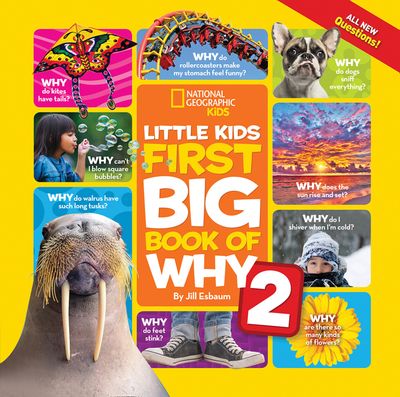 Little Kids First Big Book of Why 2