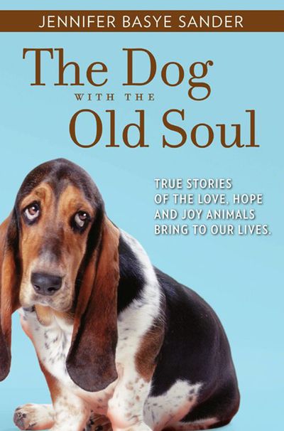 The Dog With The Old Soul