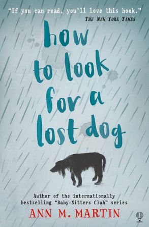 Cover image - How to Look for a Lost Dog