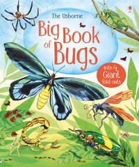 big-book-of-big-bugs