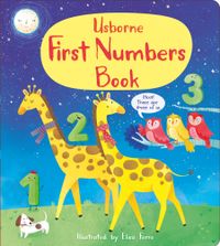 first-numbers-book