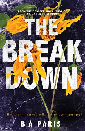 Who Can You Trust (The Break Down)