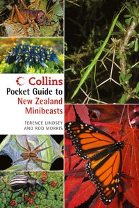 collins-pocket-guide-to-new-zealand-minibeasts