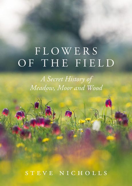 Every Flower of the Field by Sara Davison Every Flower of the Field by Sara Davison