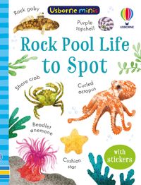 rock-pool-life-to-spot