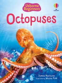 beginners-octopuses