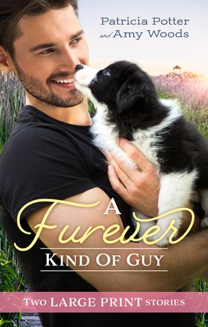 A Furever Kind Of Guy/The Soldier's Promise/An Officer and Her Gentleman