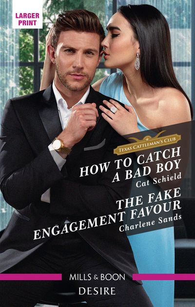 How to Catch a Bad Boy/The Fake Engagement Favour