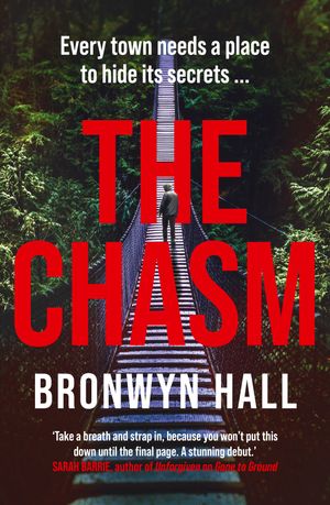 the-chasm