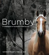 brumby-a-celebration-of-australias-wild-horses