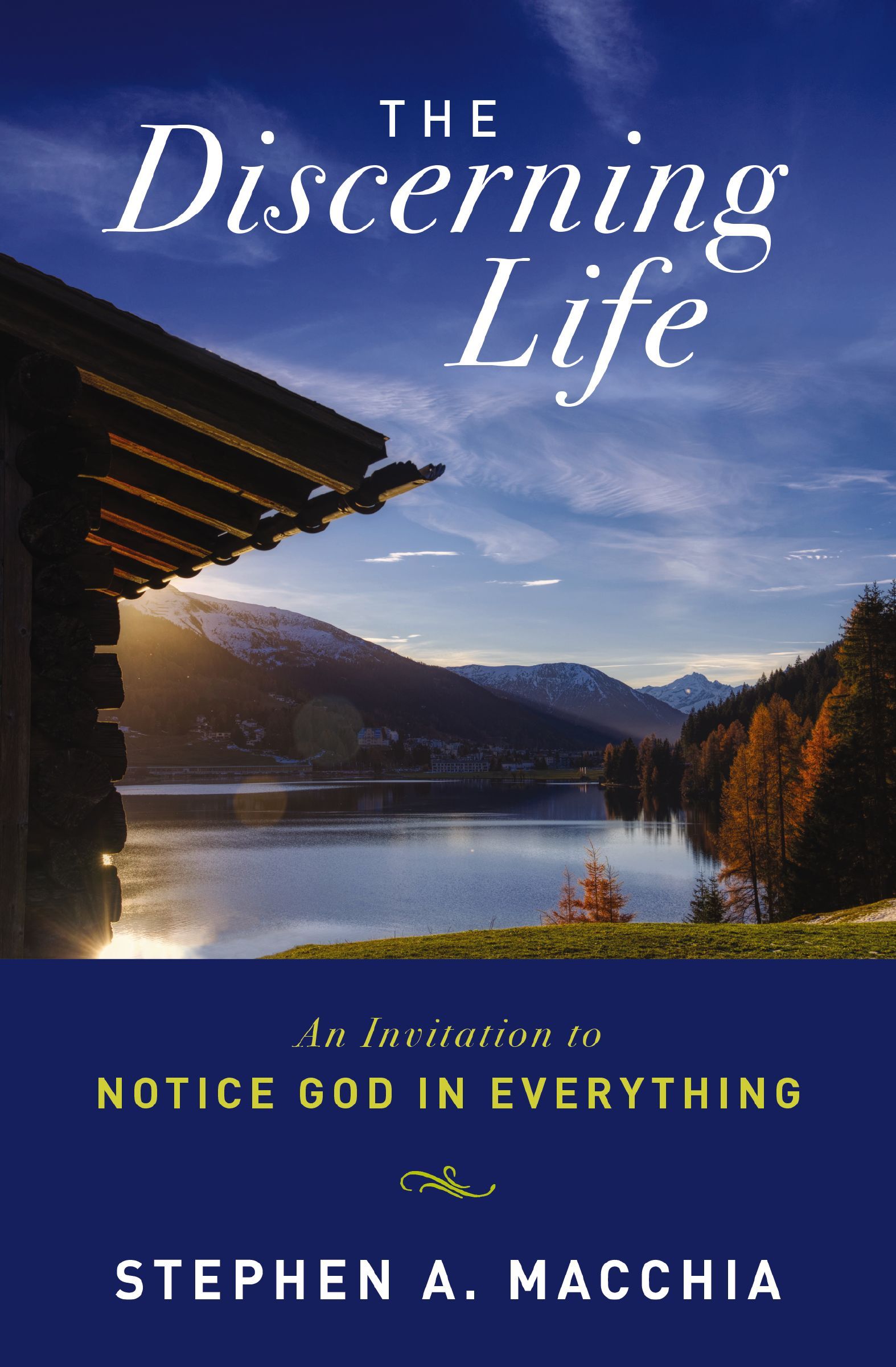 Discerning Life, Paperback, Stephen Macchia