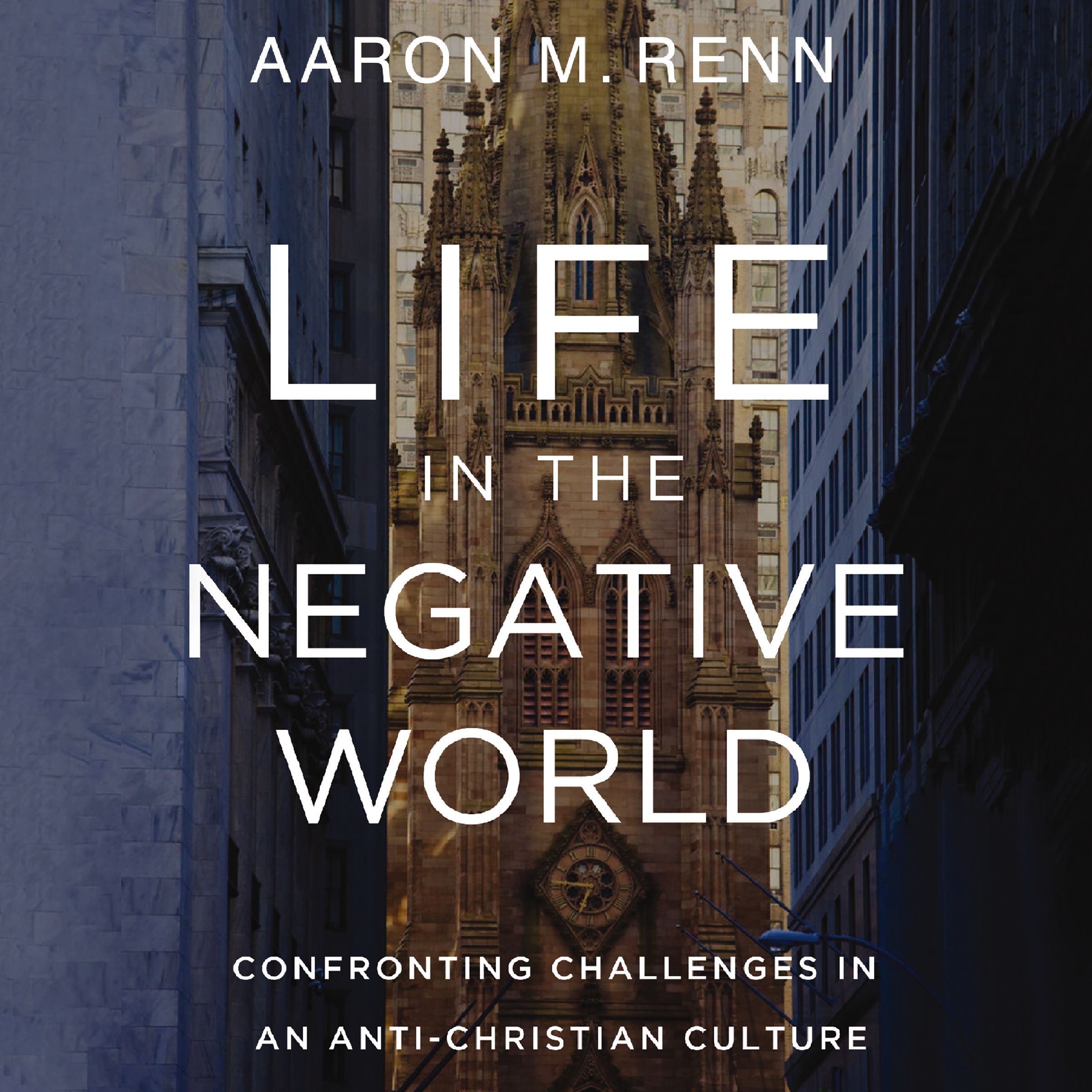 Life in the Negative World