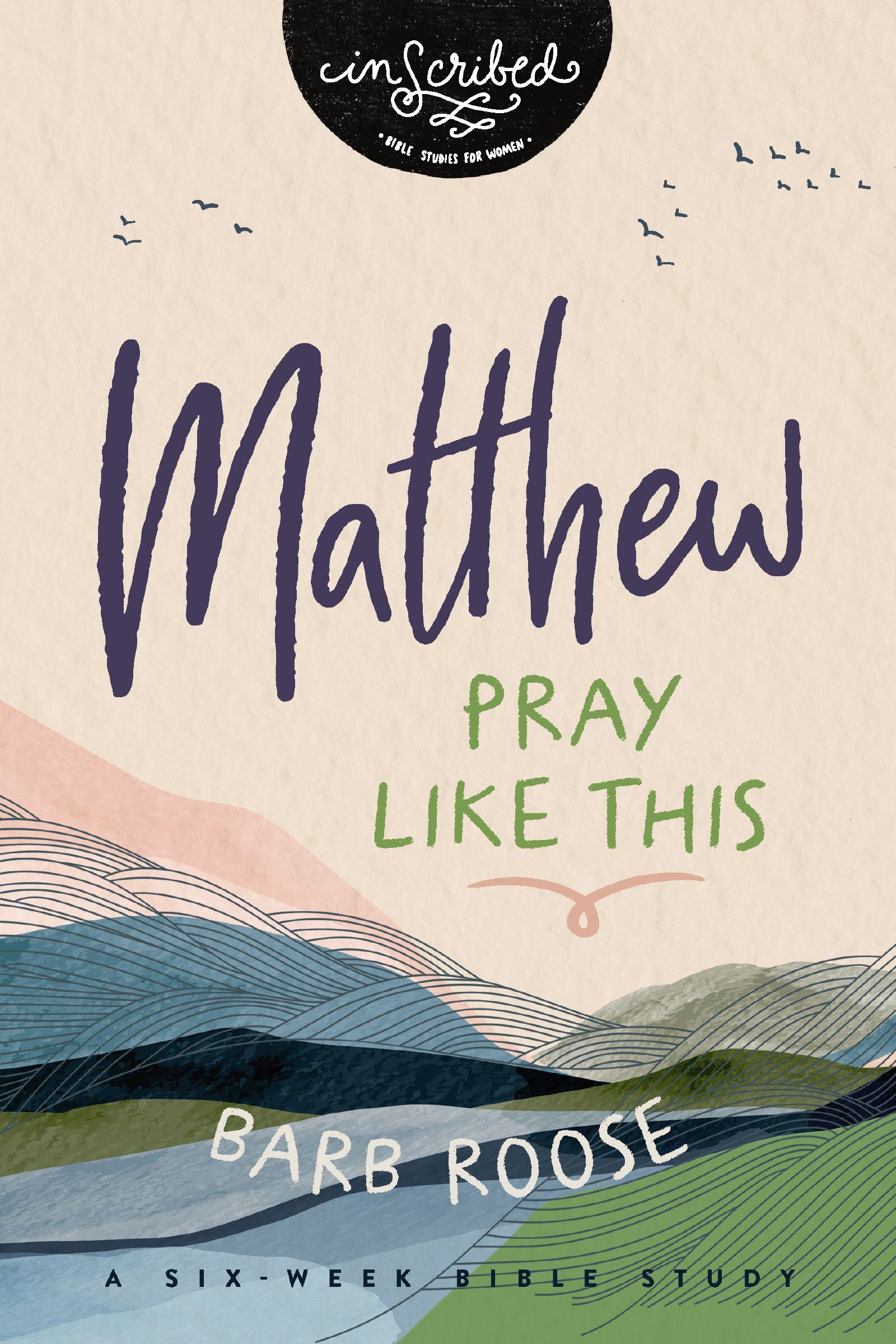 Matthew, Paperback, Barb Roose