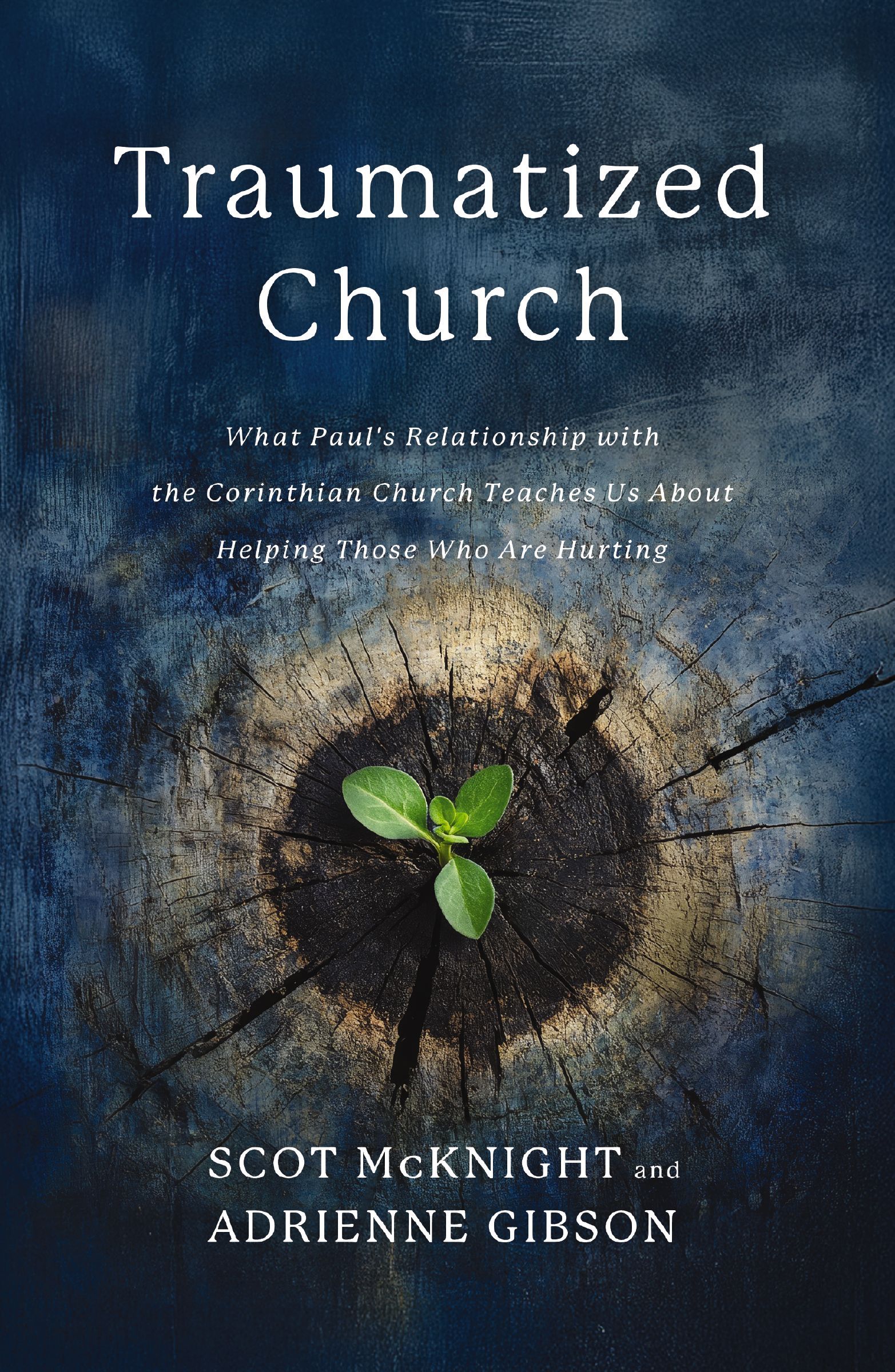 Book Cover of 'Traumatized Church'