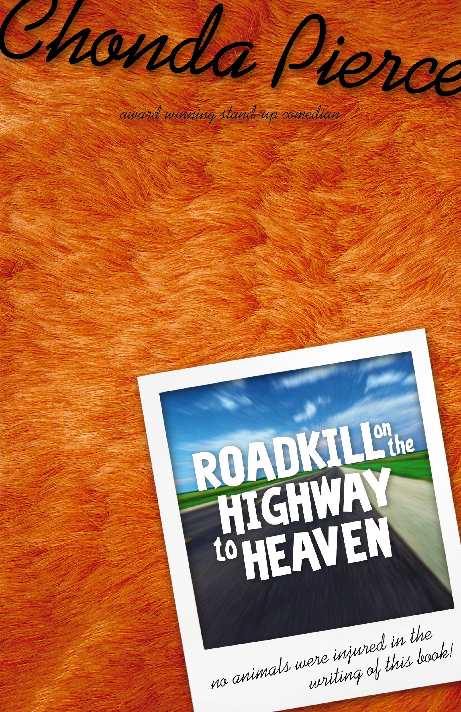 Roadkill on the Highway to Heaven, Paperback, Chonda Pierce