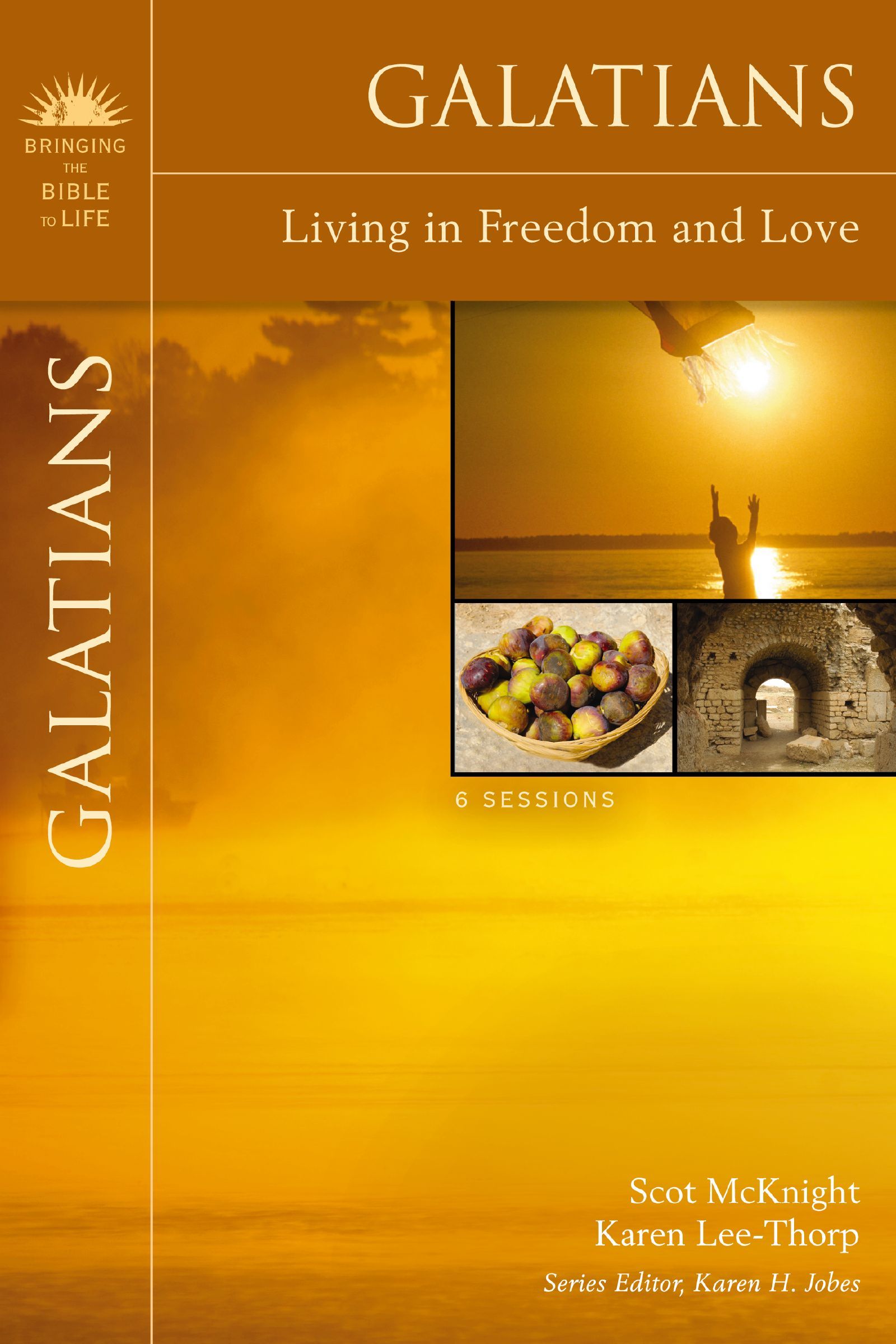 Galatians, Paperback, Scot McKnight