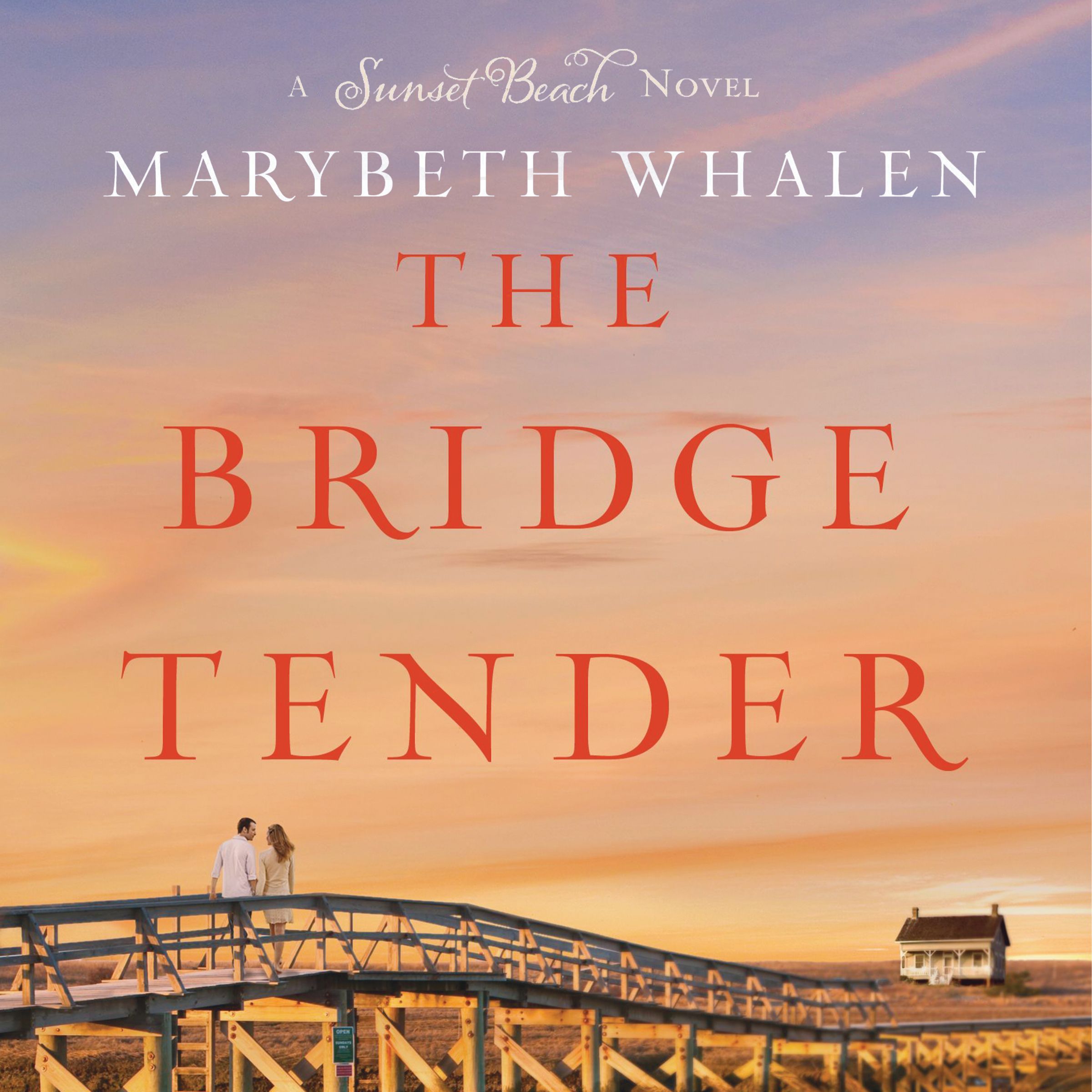 The Bridge Tender Book Cover