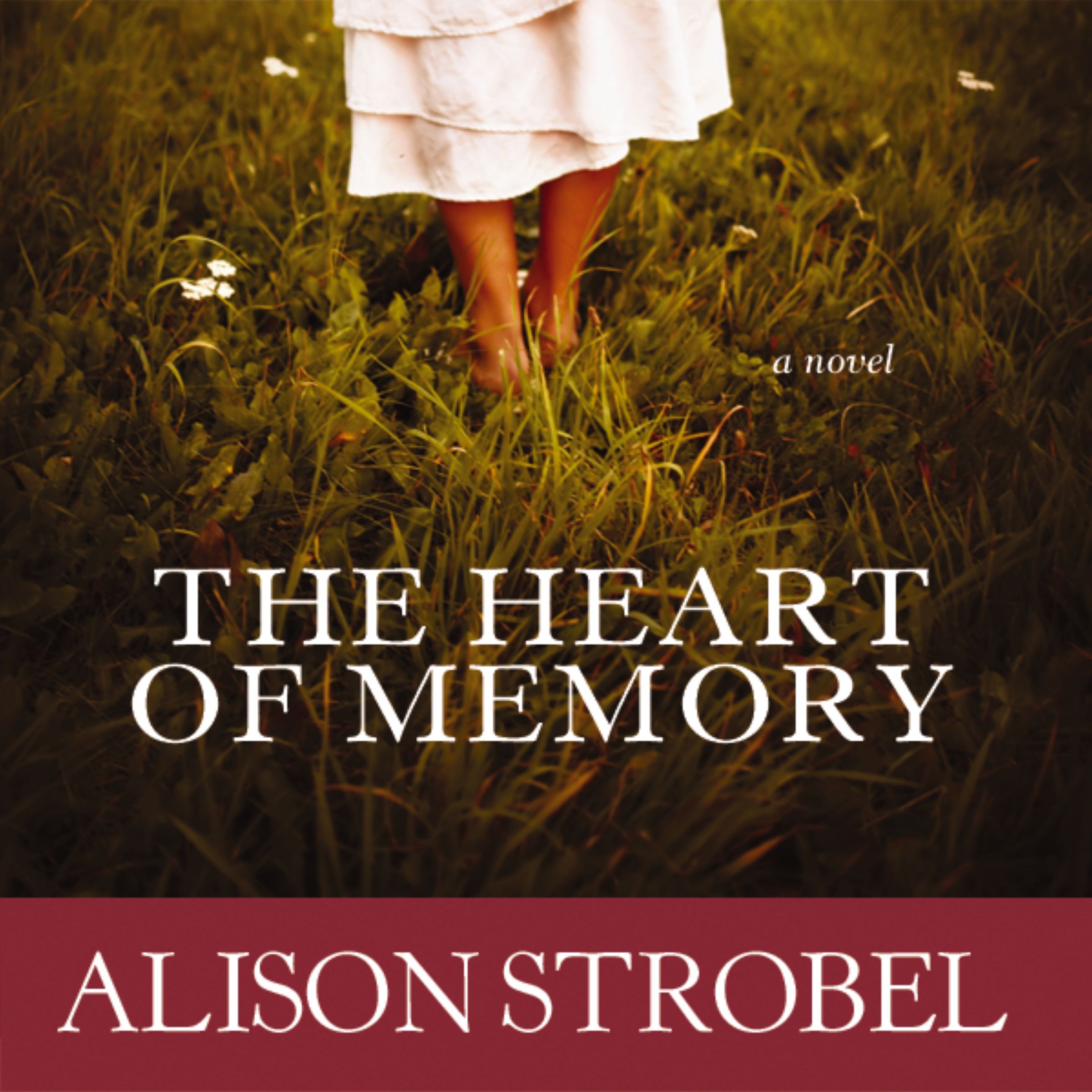The Heart of Memory Book Cover