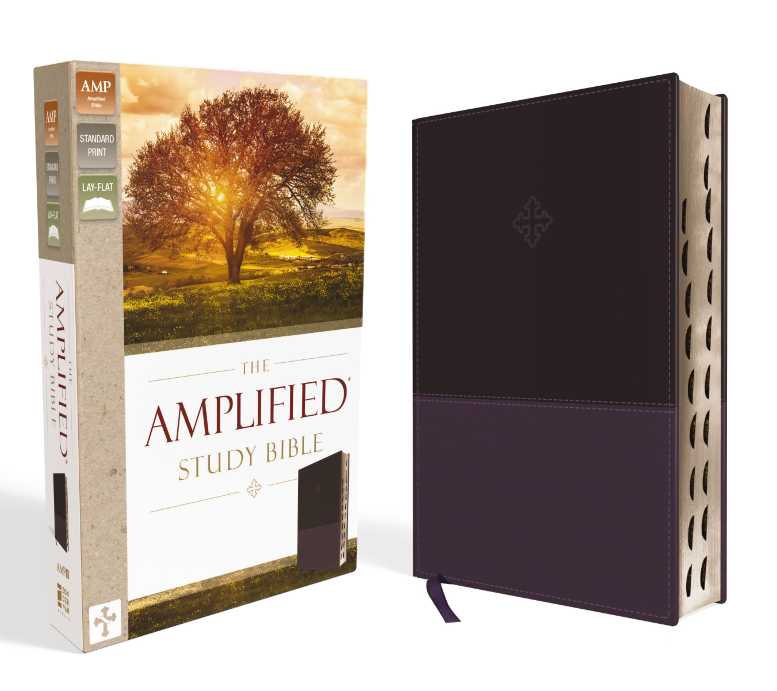 Amplified Study Bible, Indexed [Purple] by Zondervan (2017, Imitation Leather) - Image 8