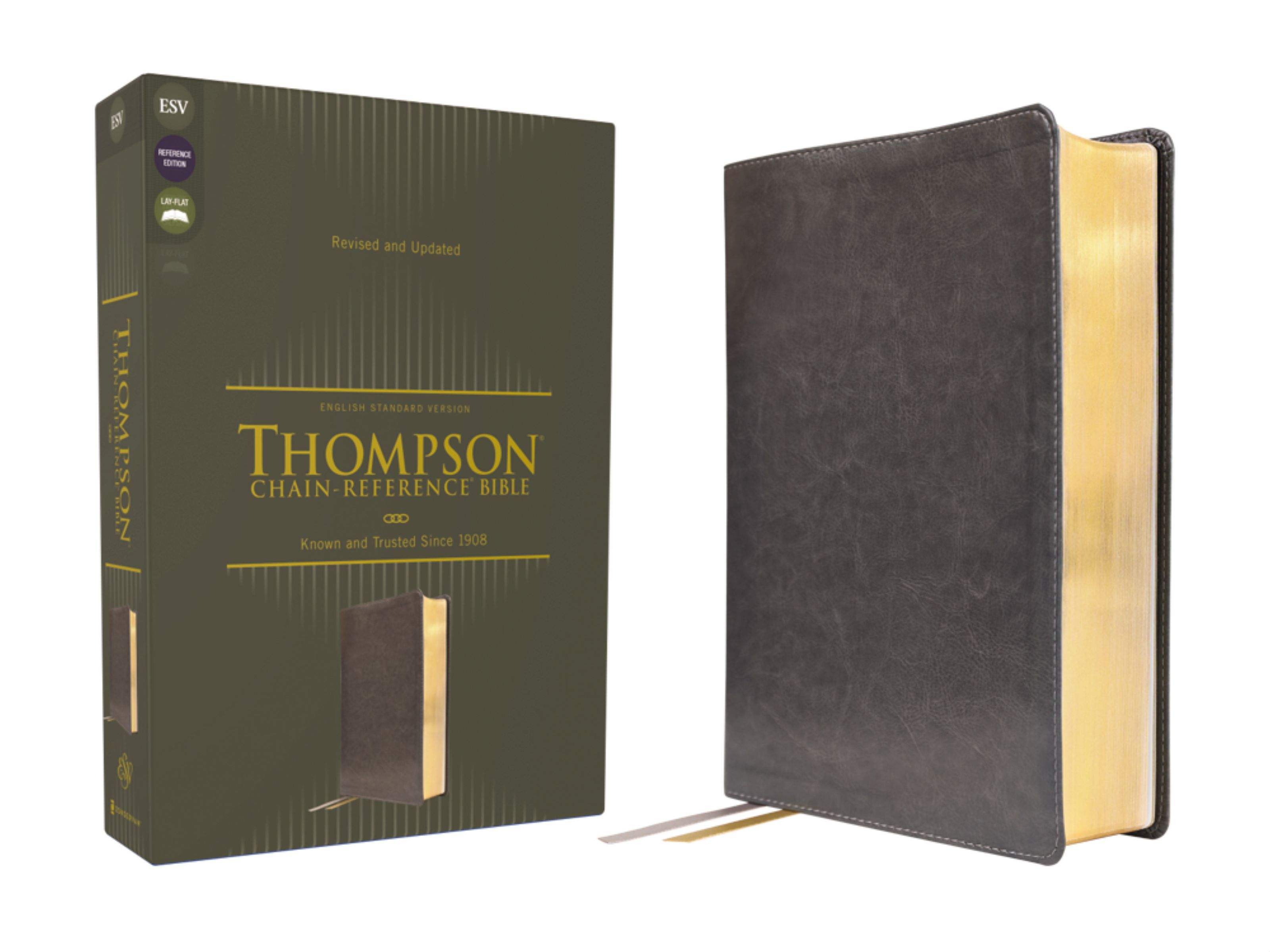 ESV, Thompson Chain-Reference Bible, Leathersoft, Gray, Red Letter - Image 5