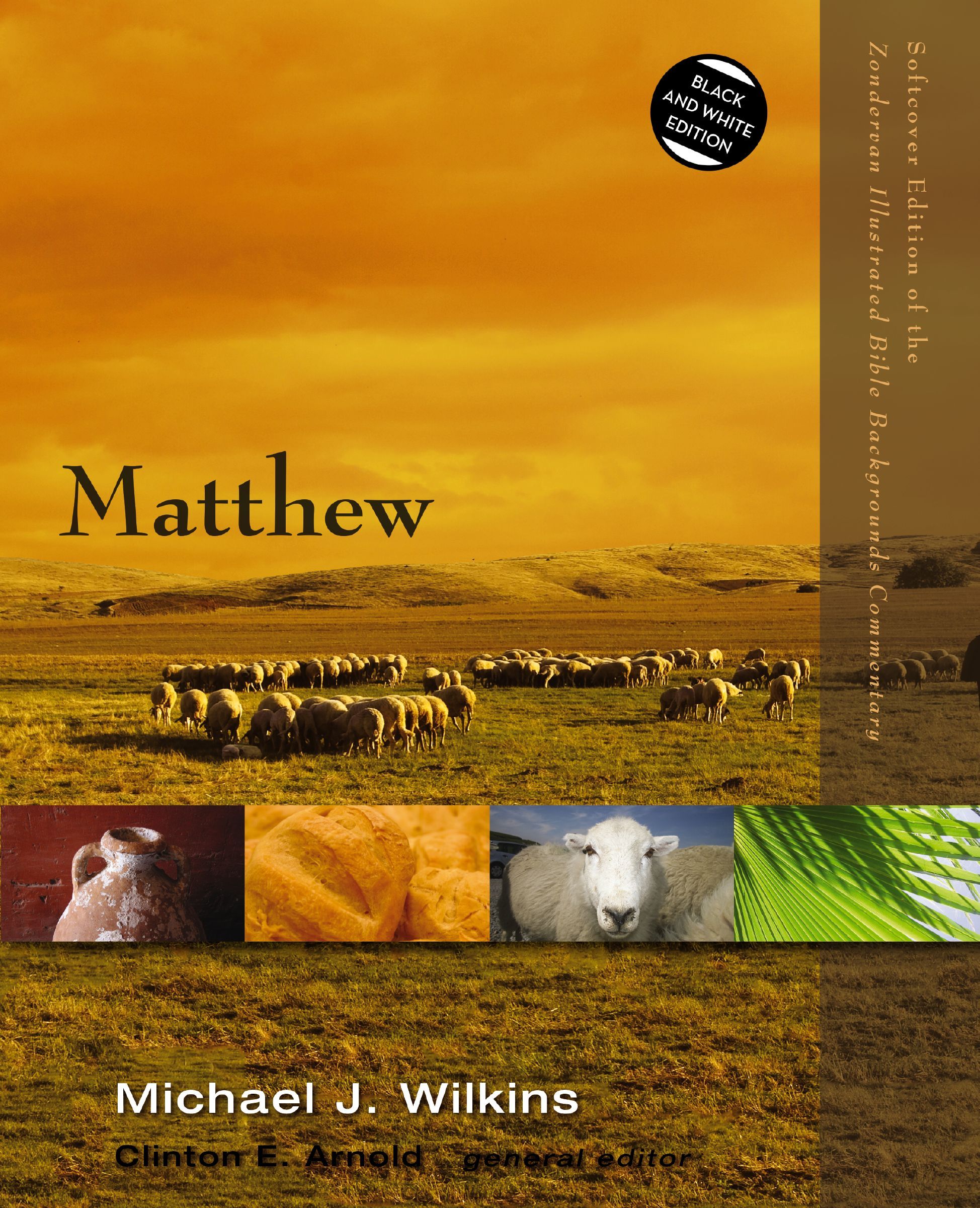 Matthew by Michael J. Wilkins, Clinton E. Arnold - 9780310522904 - Image 4