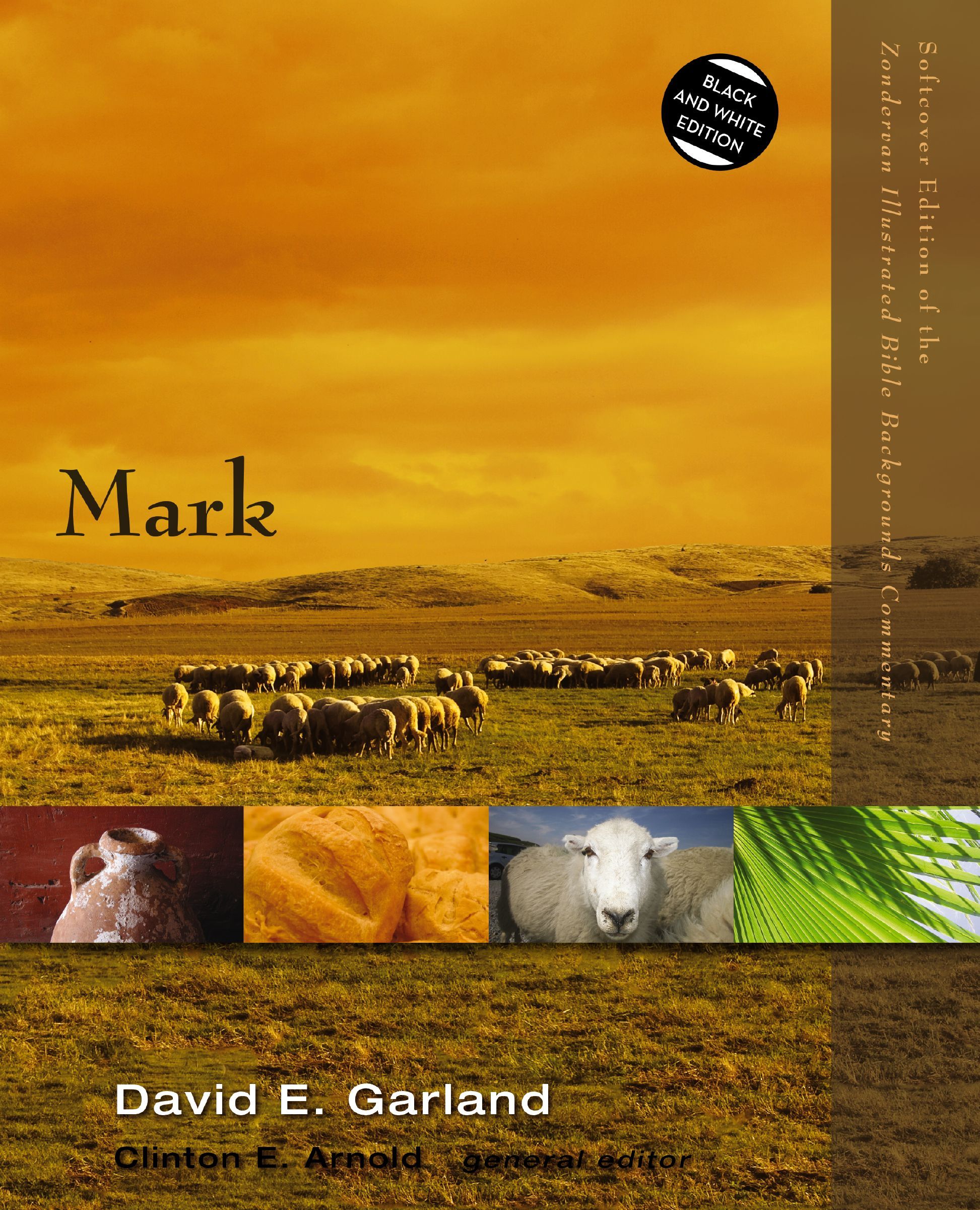 Mark, Paperback, David Garland