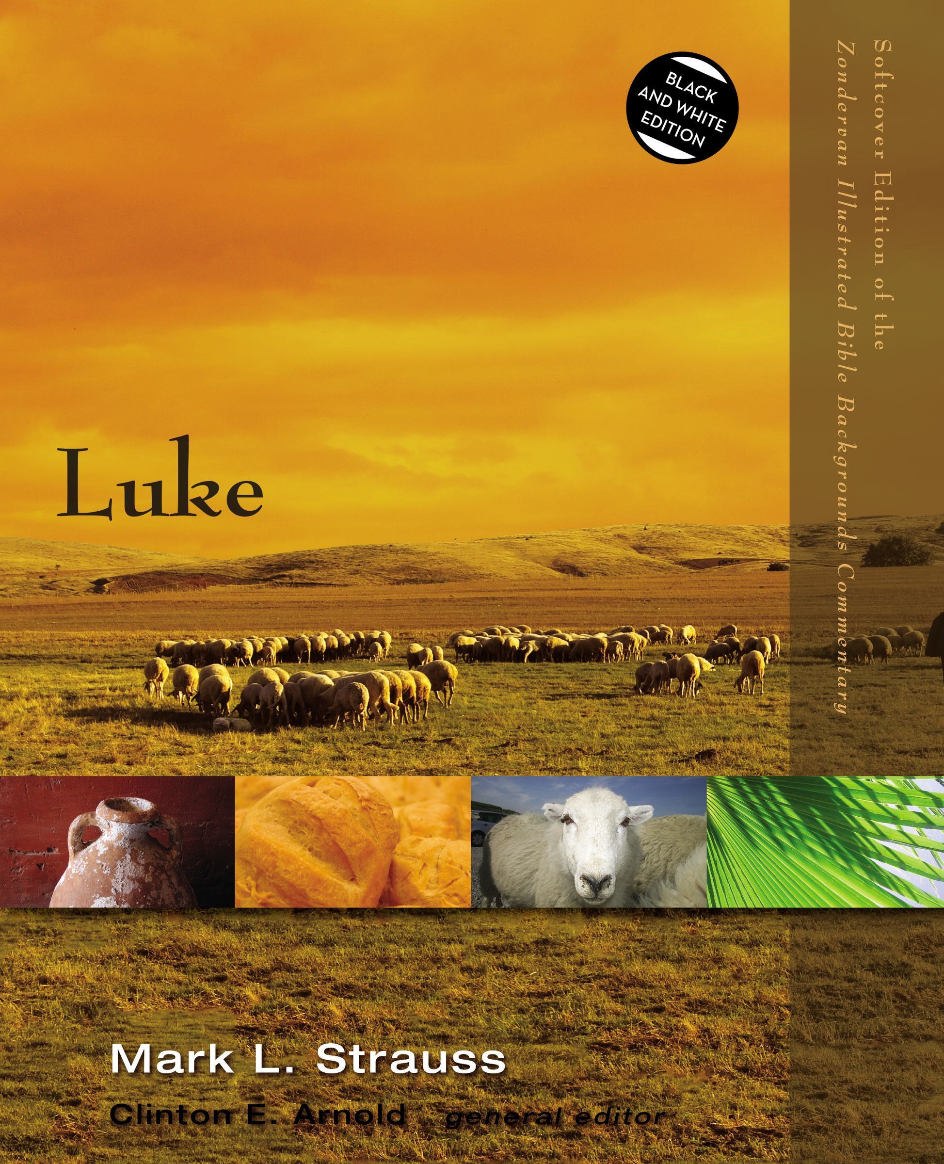 Luke (Zondervan Illustrated Bible Backgrounds Commentary) - Image 3
