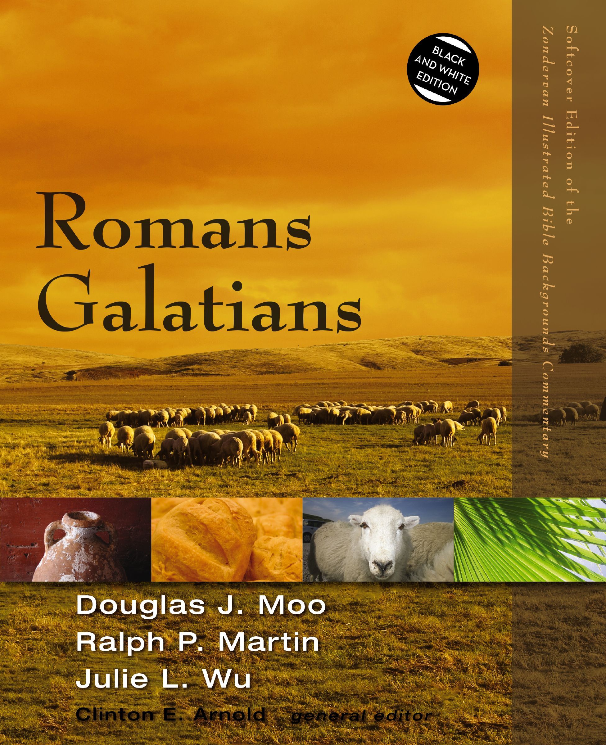 Romans, Galatians, Paperback, Douglas Moo, Ralph Martin and Julie Wu