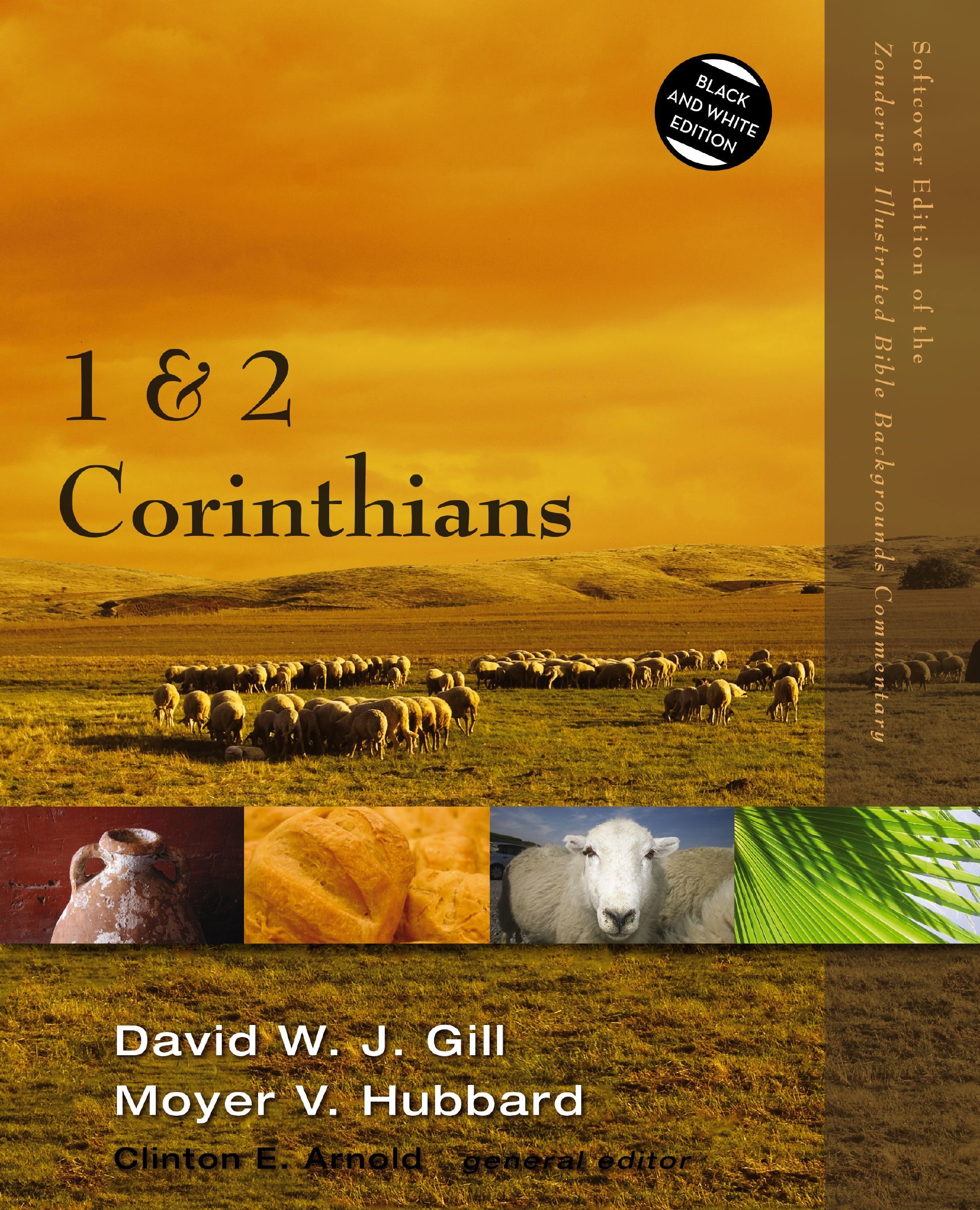 1 and 2 Corinthians, Paperback, David Gill and Moyer Hubbard