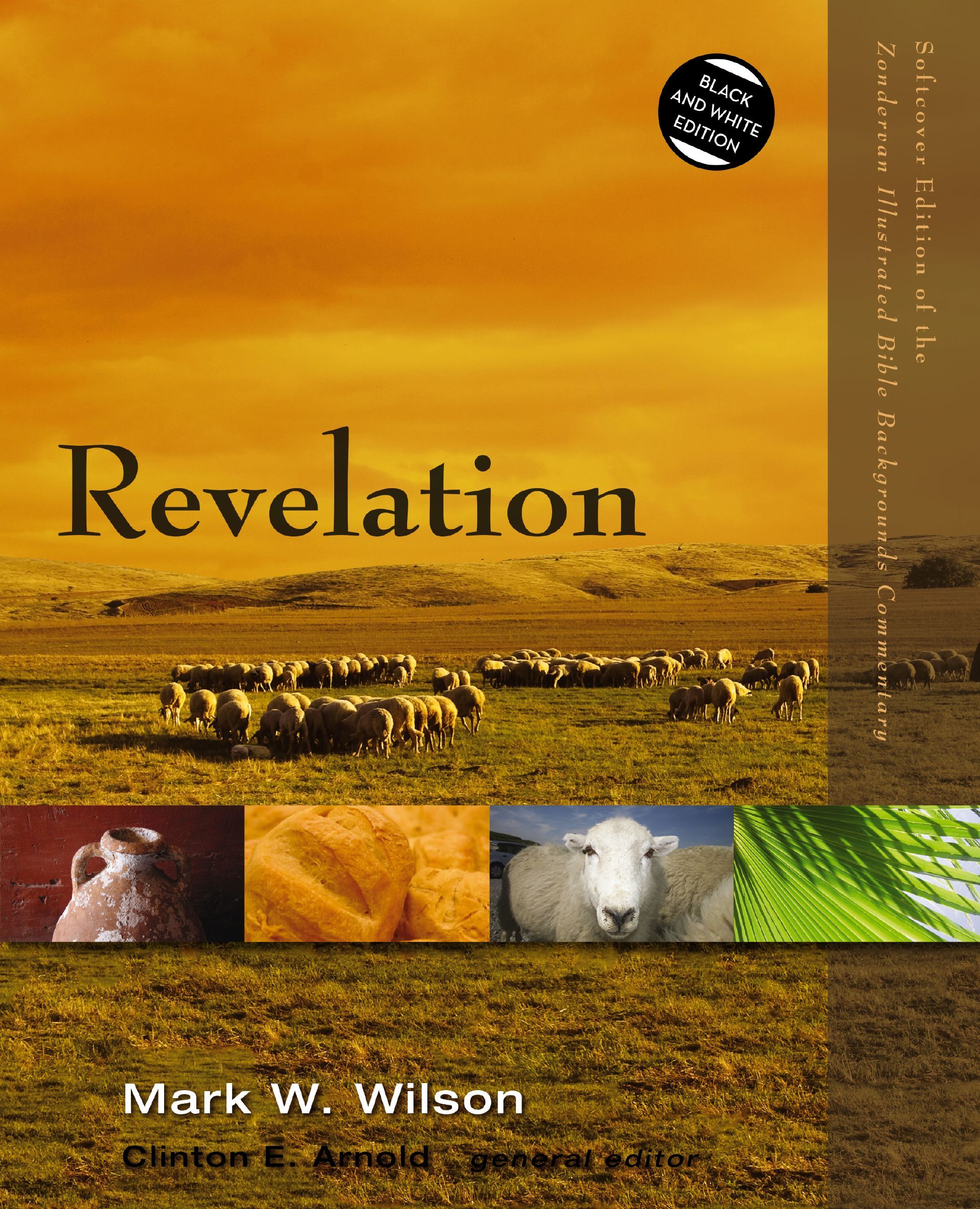 Revelation, Paperback, Mark Wilson