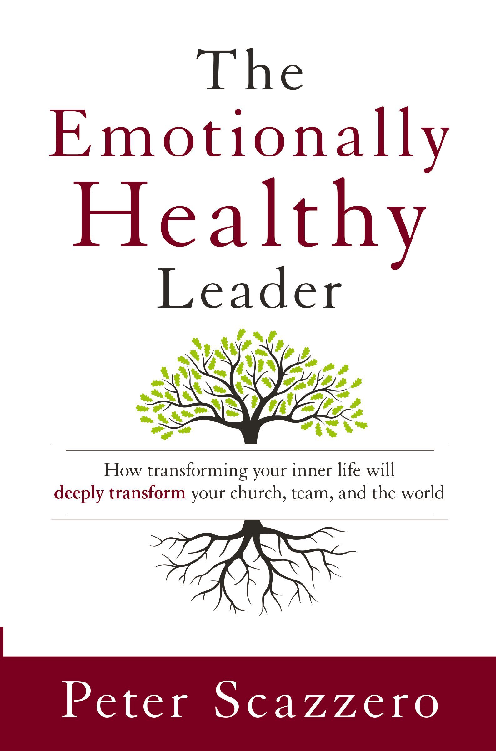 The Emotionally Healthy Leader : How Transforming Your Inner Life Will Deeply Transform Your Church, Team, And The World Peter Scazzero - Image 8