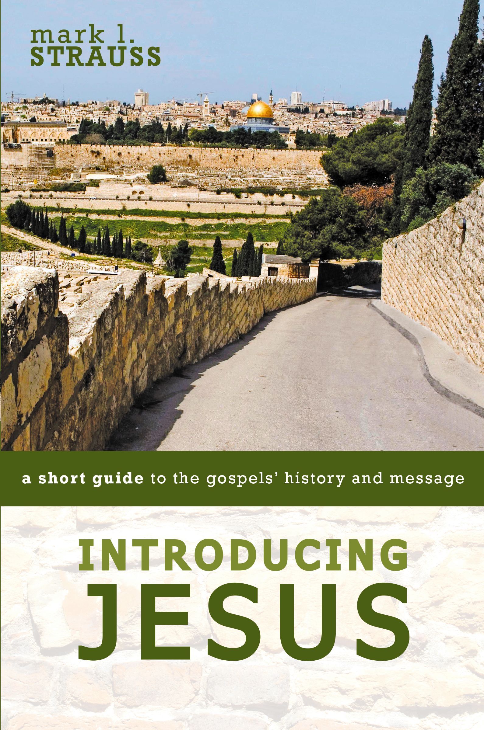 Introducing Jesus, Paperback, Mark Strauss - Image 4