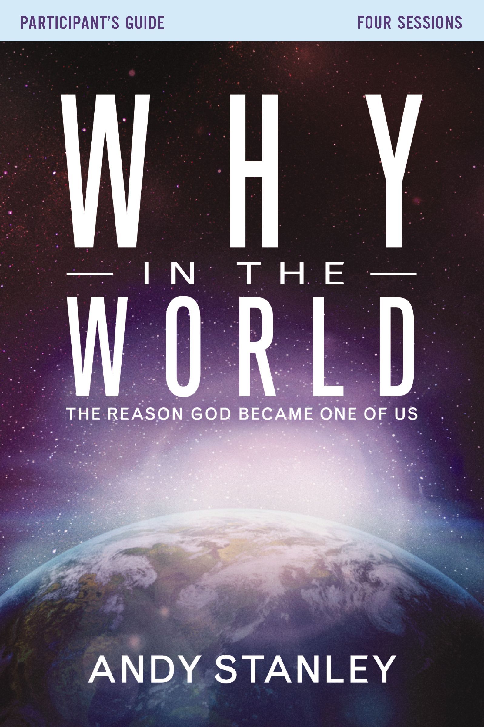 Why in the World Participant's Guide, Paperback, Andy Stanley