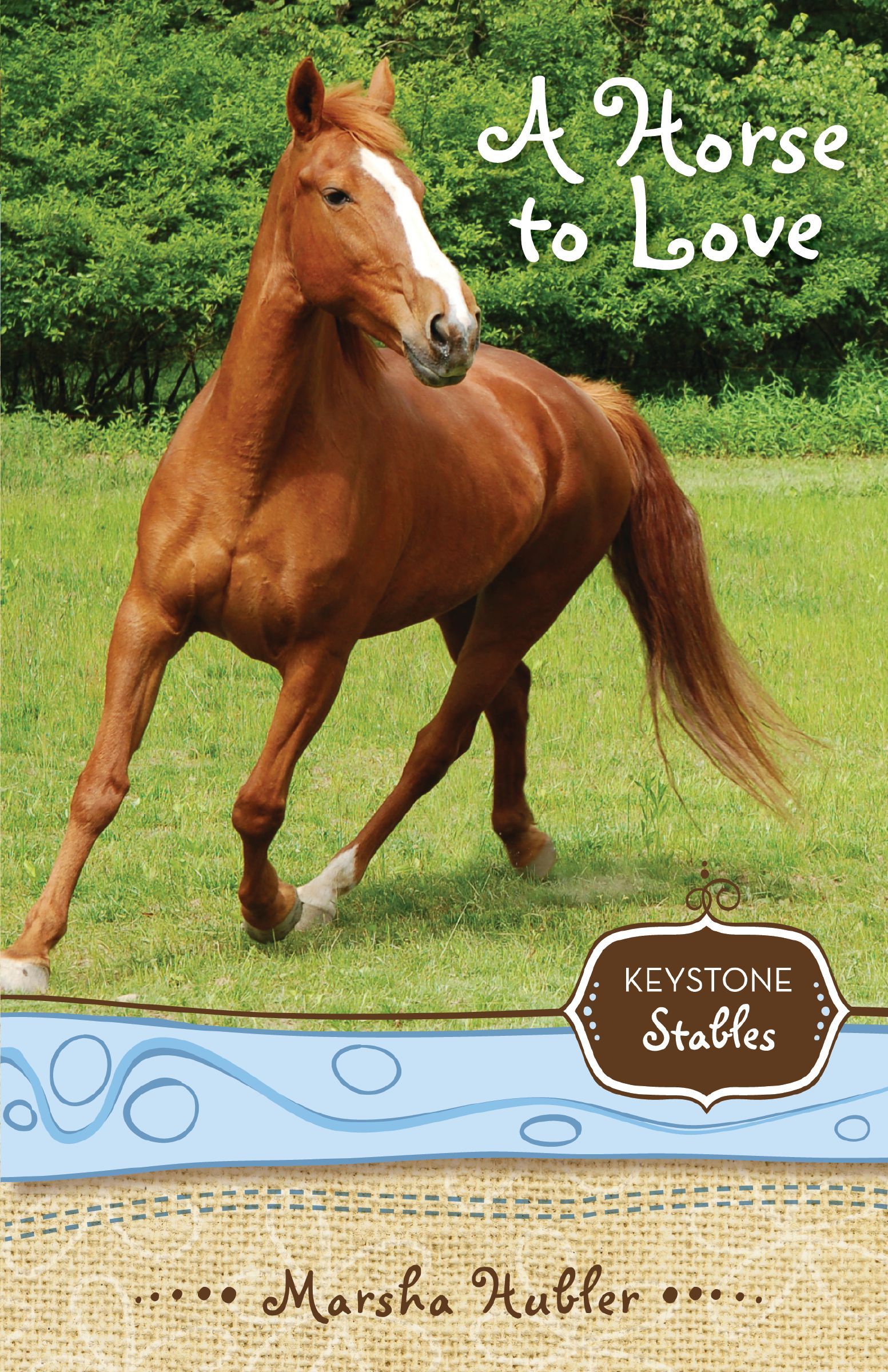 Horse To Love, Paperback, Marsha Hubler