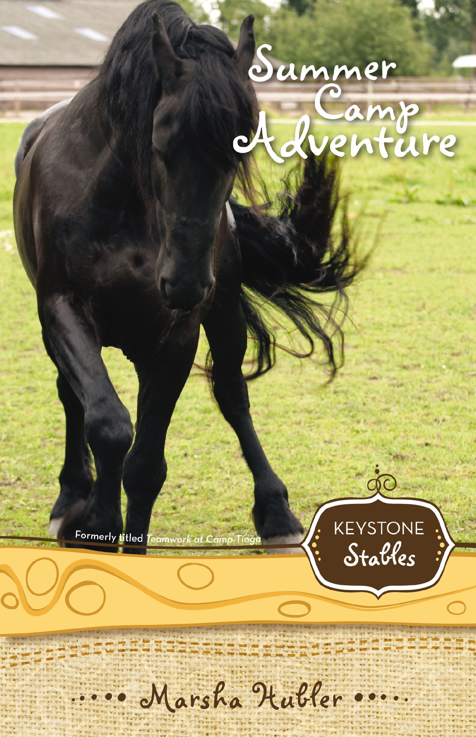 Summer Camp Adventure, Paperback, Marsha Hubler