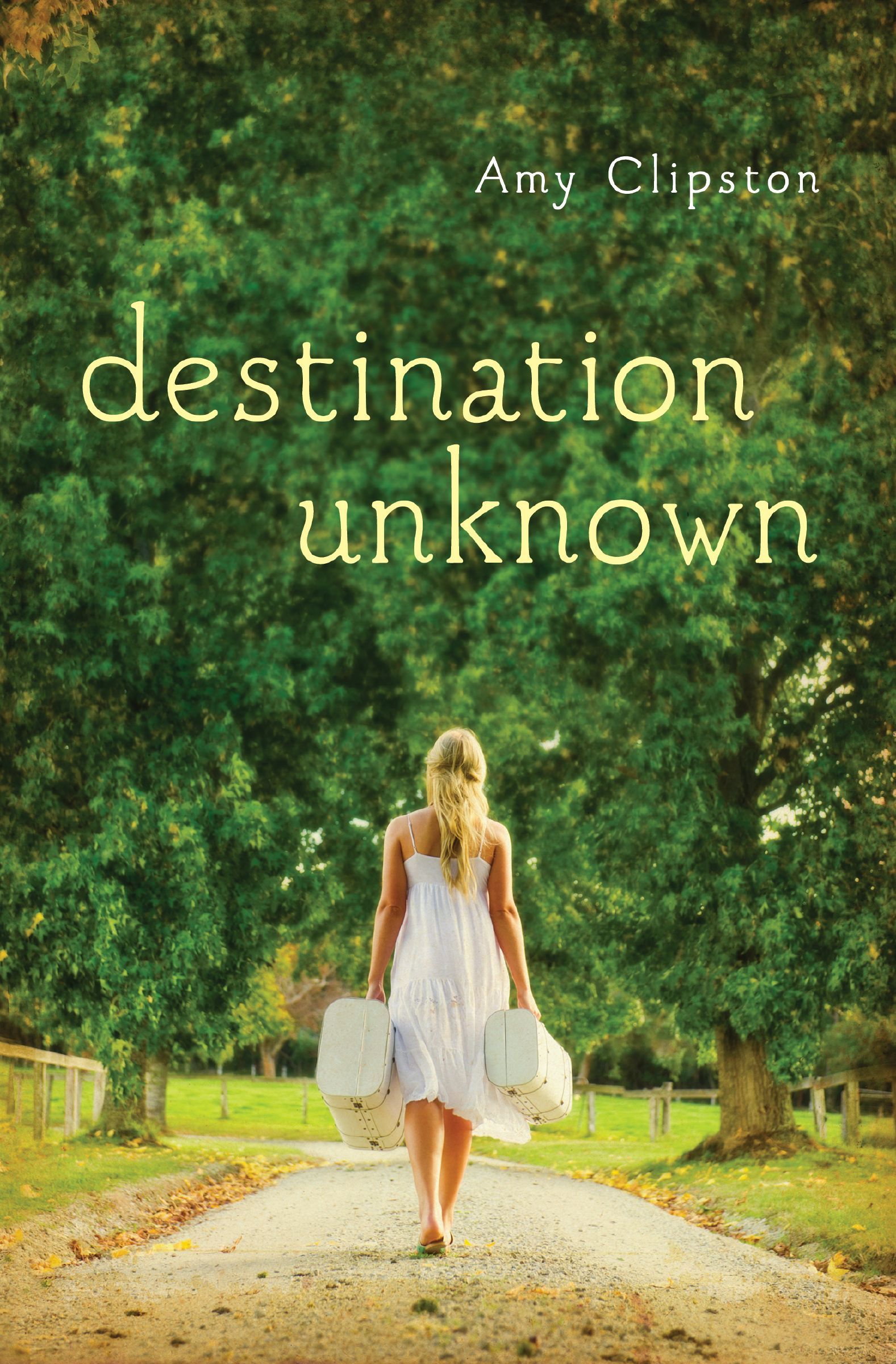 Destination Unknown, Paperback, Amy Clipston