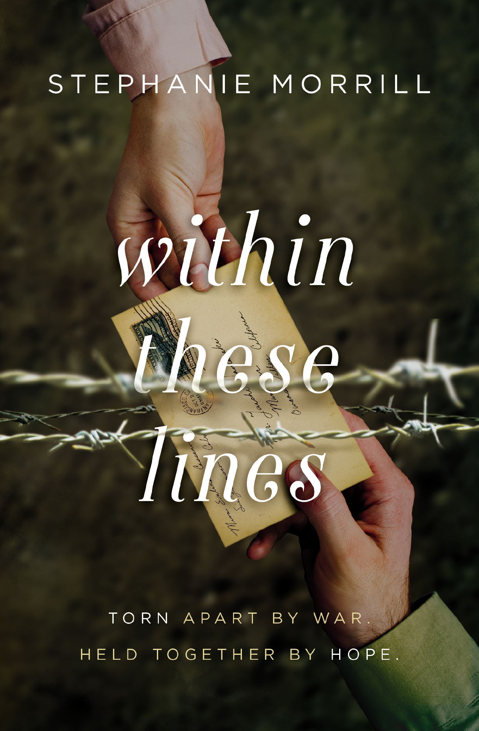 Within These Lines Book Cover