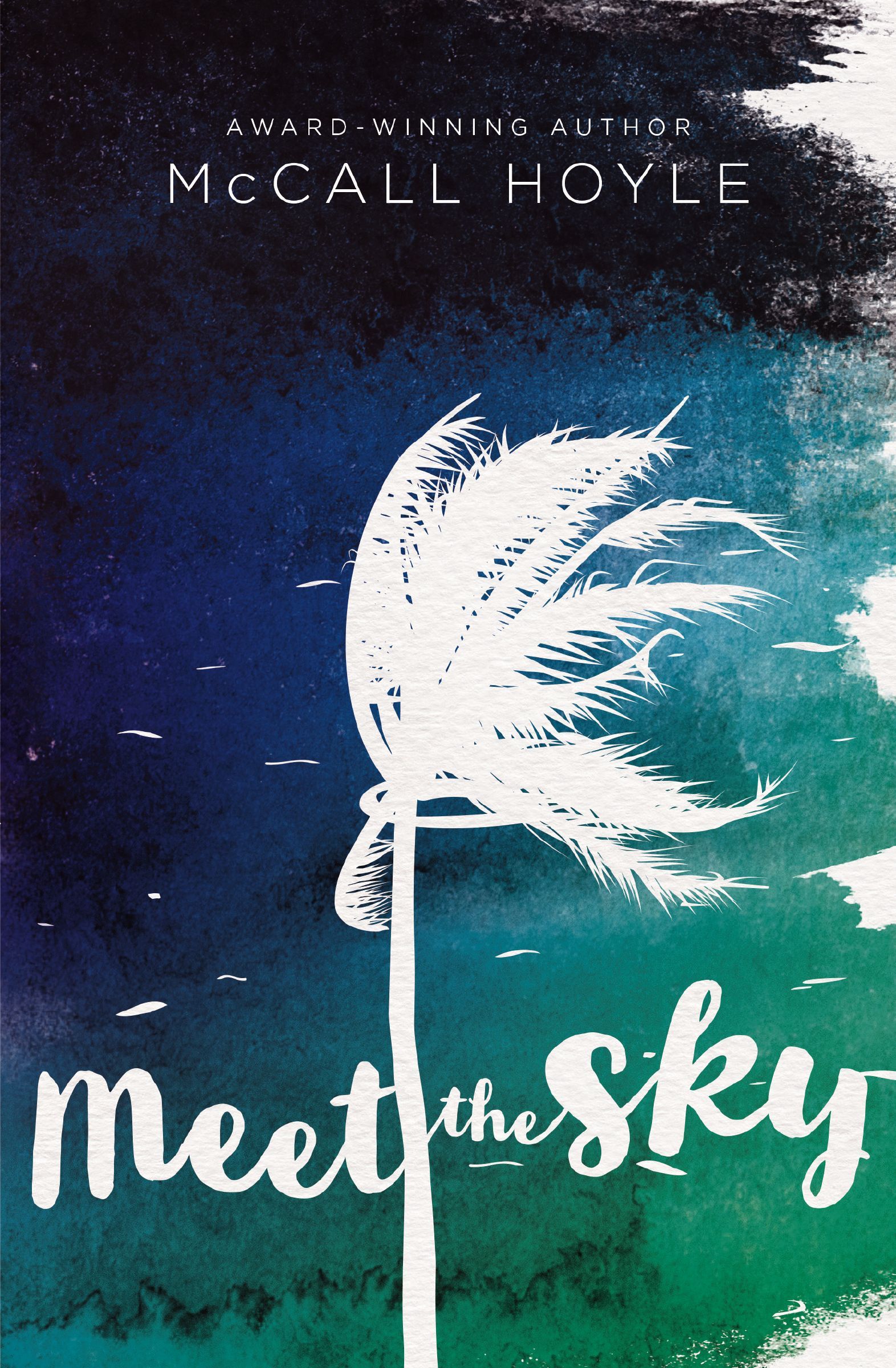 Meet the Sky Book Cover