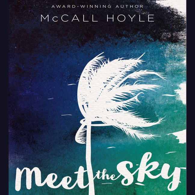 Meet the Sky Book Cover
