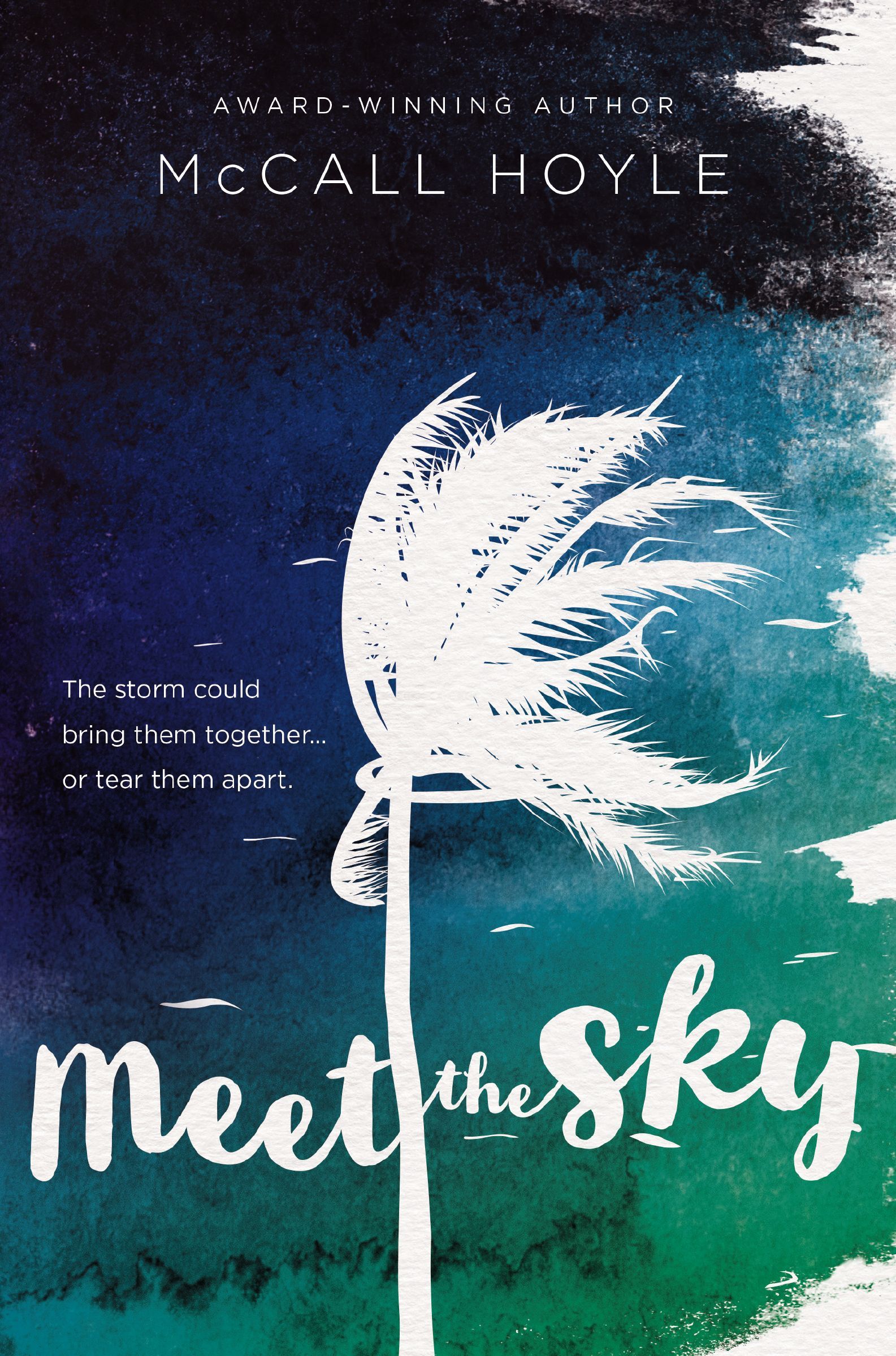 Meet the Sky Book Cover