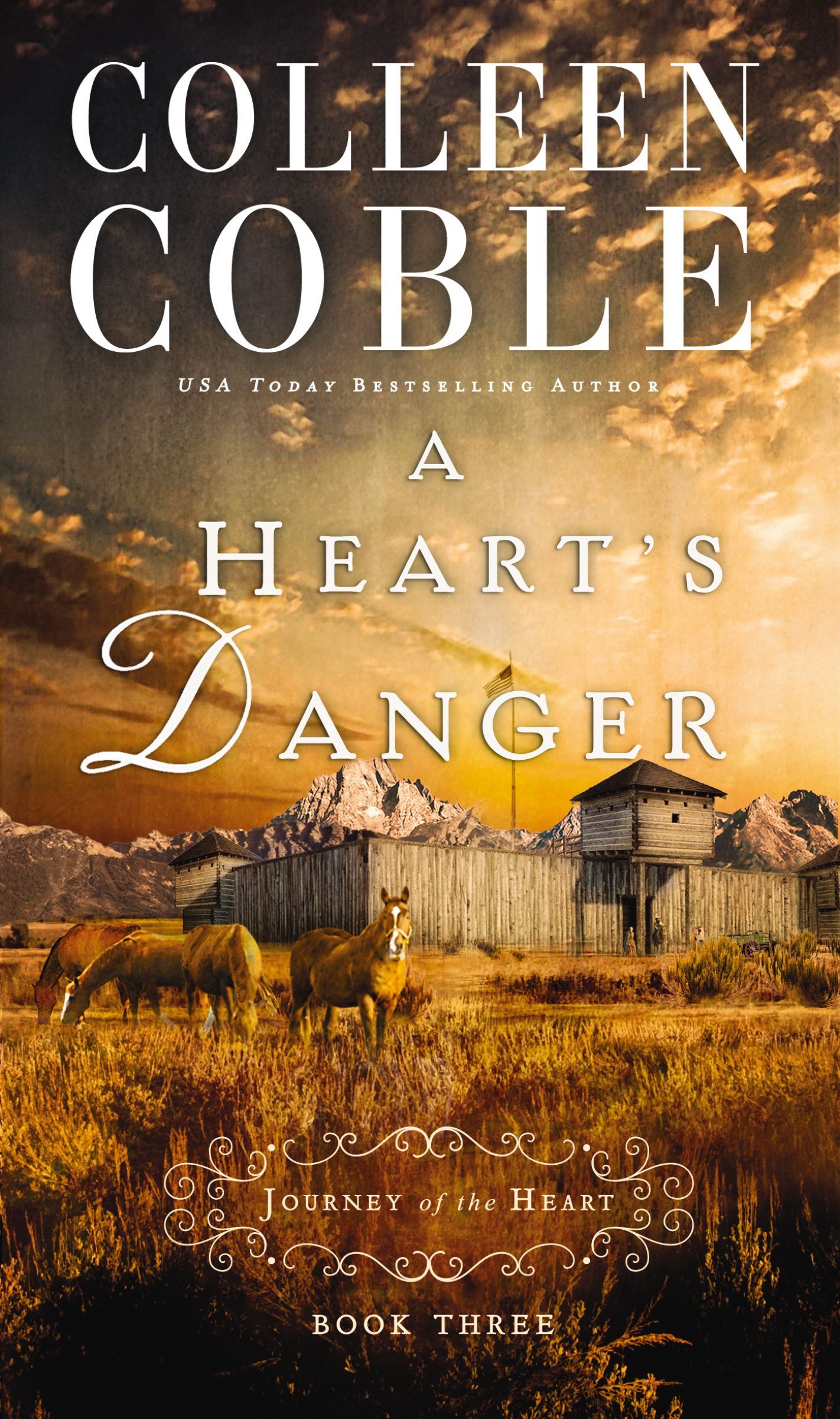 A Heart's Danger, Paperback, Colleen Coble
