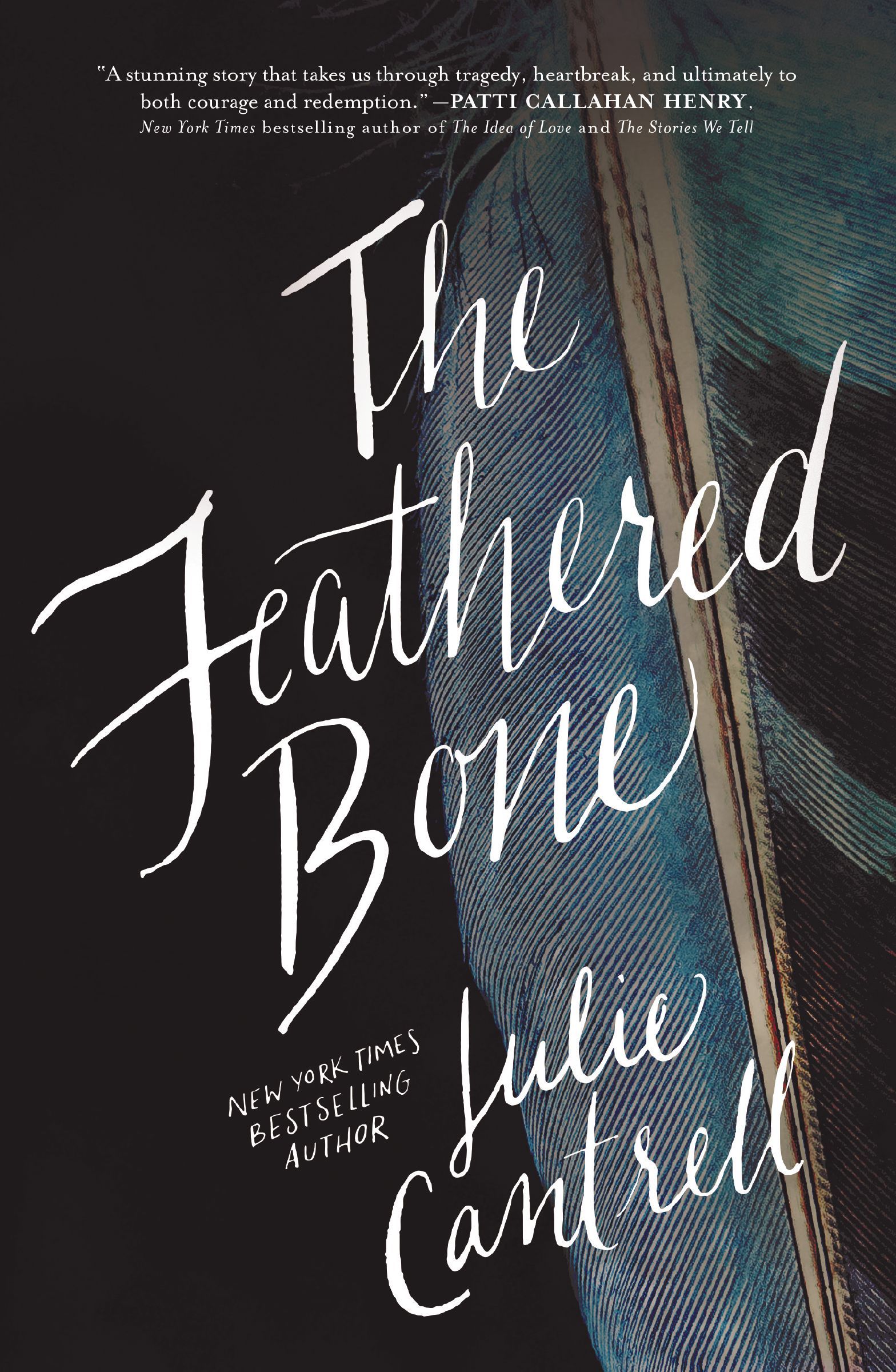 Feathered Bone, Paperback, Julie Cantrell